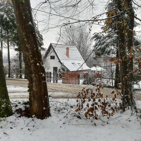 Carobna Suma *** Villa Karlovac Exterior foto