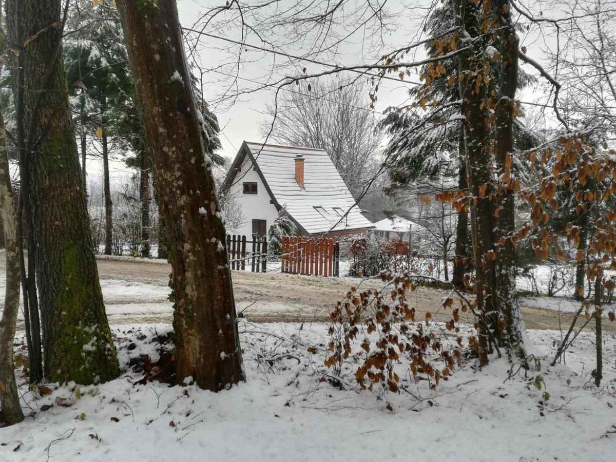 Carobna Suma *** Villa Karlovac Exterior foto